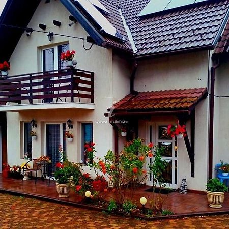 Ferienwohnung Edelweiss Ilinca Zărneşti Exterior foto