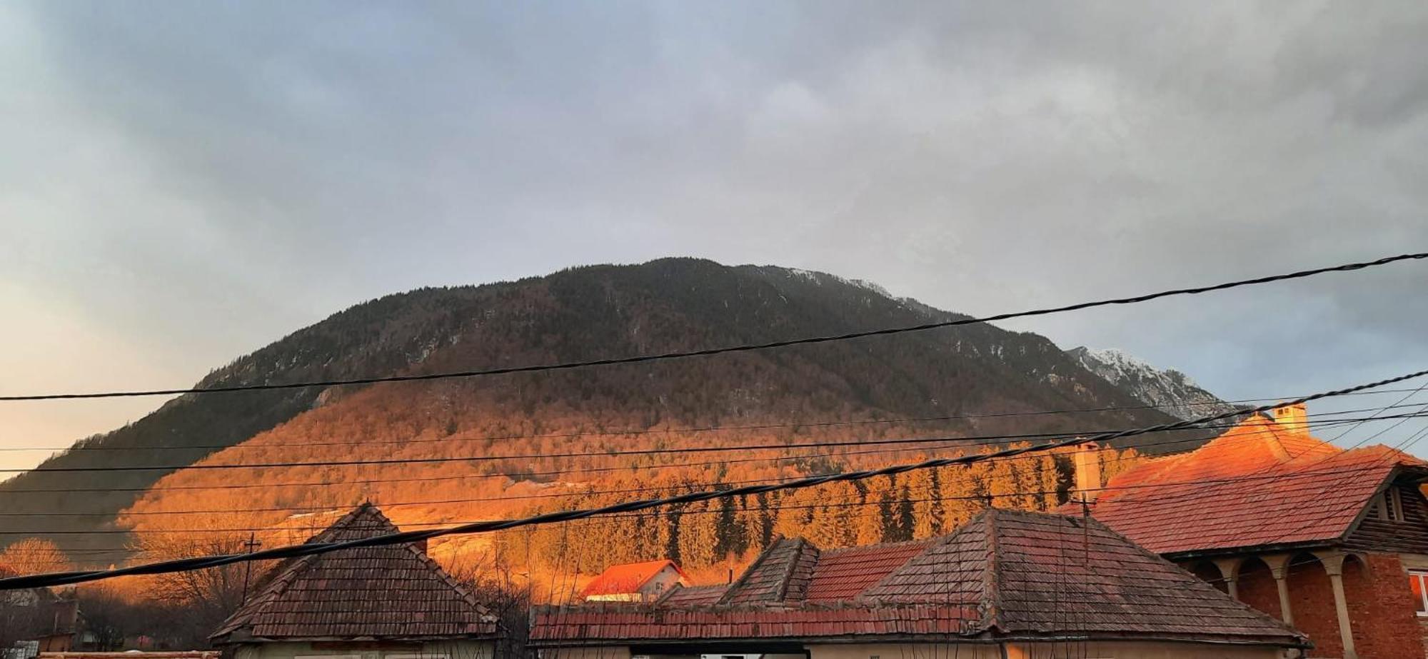 Ferienwohnung Edelweiss Ilinca Zărneşti Exterior foto
