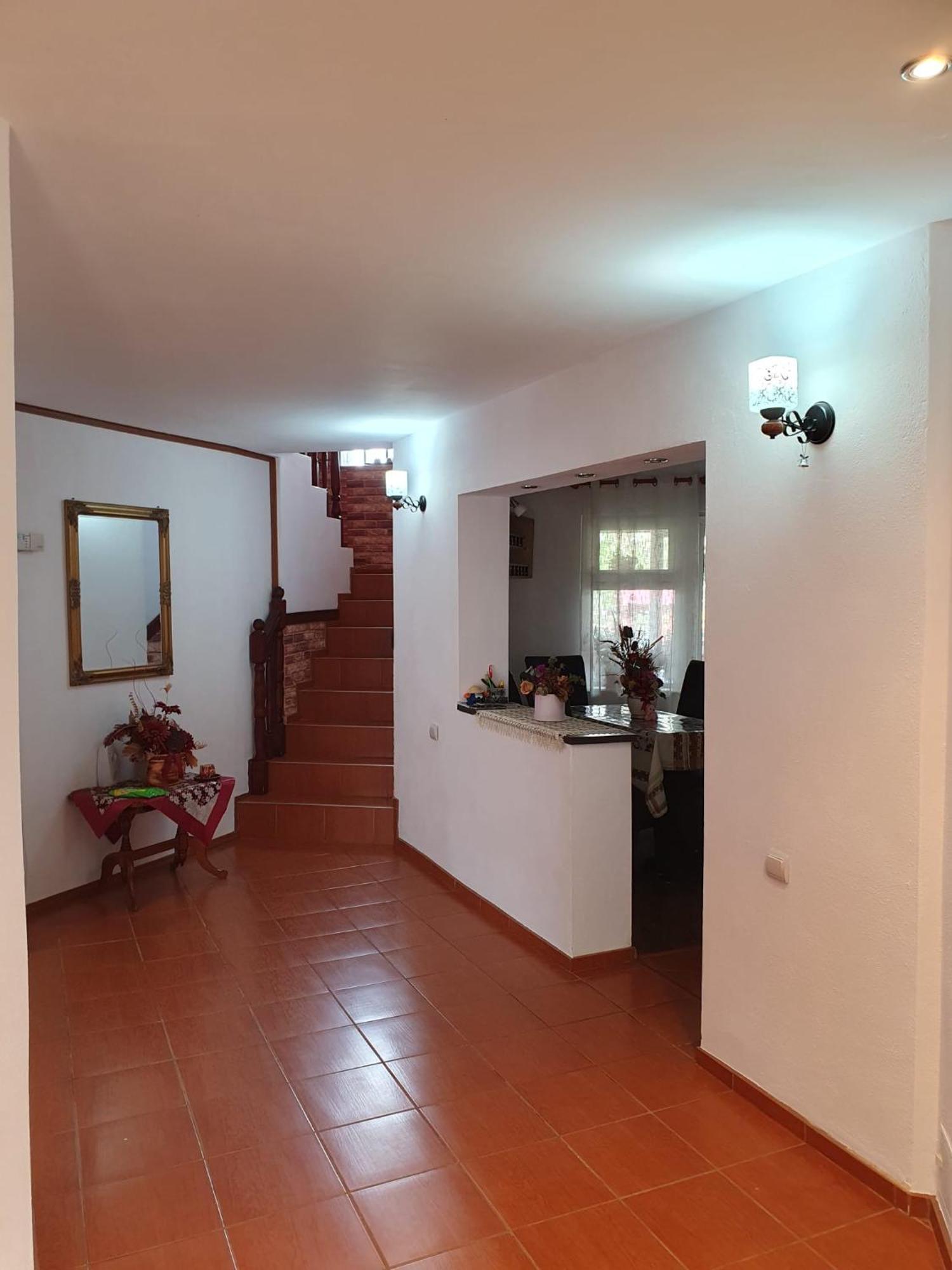 Ferienwohnung Edelweiss Ilinca Zărneşti Exterior foto