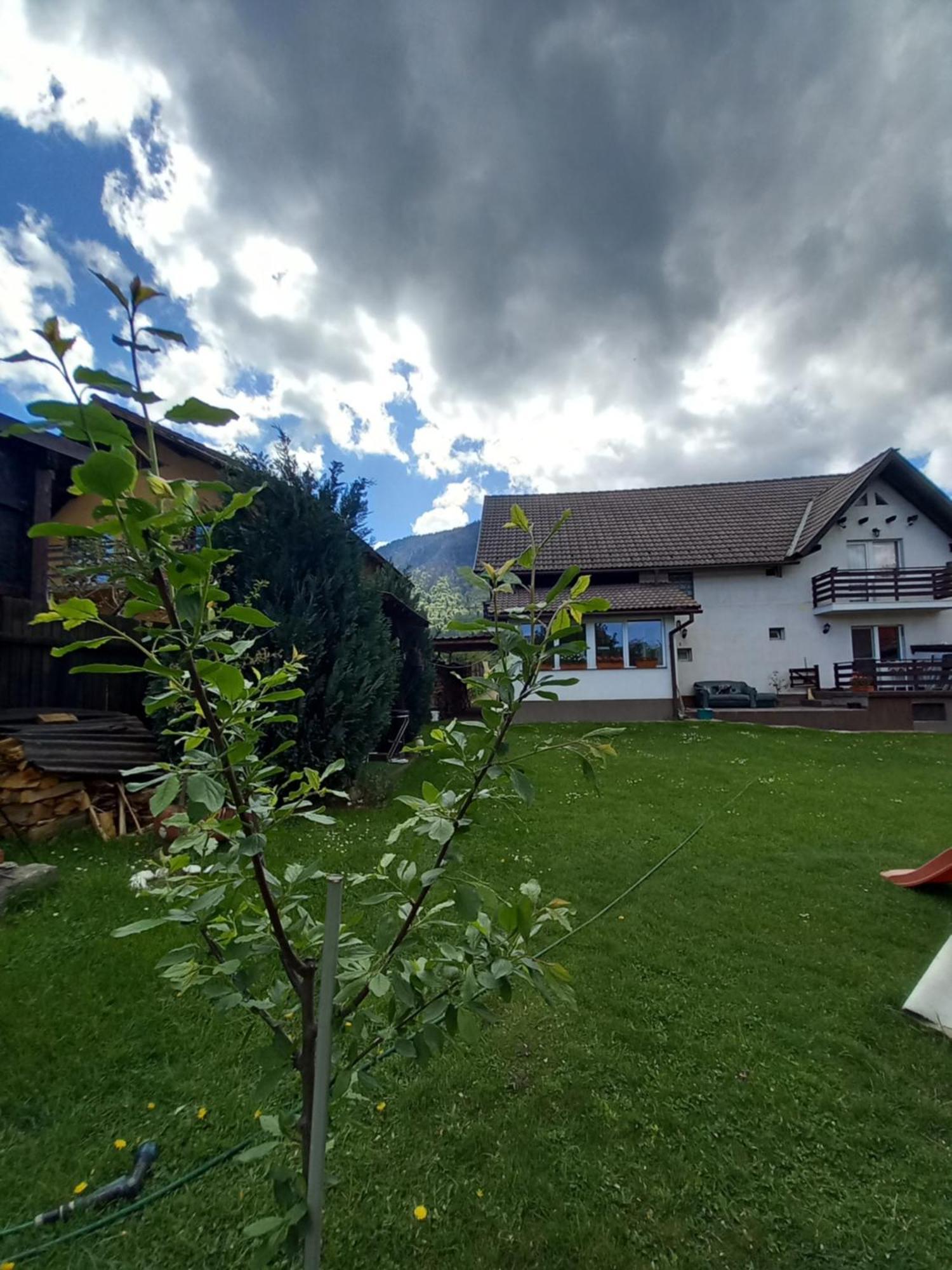 Ferienwohnung Edelweiss Ilinca Zărneşti Exterior foto